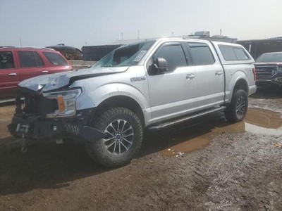 Used Rear Right Door Window Regulator Rear fits: 2018 Ford F150 PICKUP Crew Cab