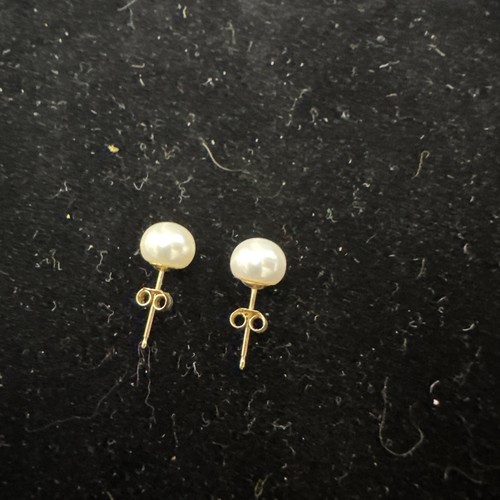 10k solid gold stud Pearl earrings