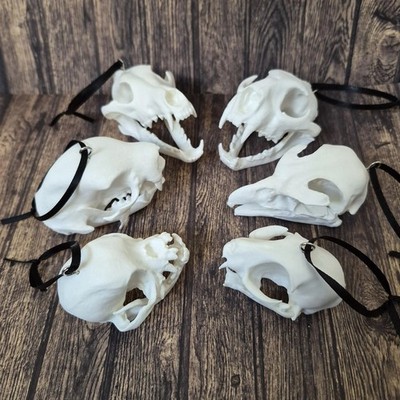 Miniatur Tierschädel Christbaumschmuck, 3D gedruckt Harz (6er Set)