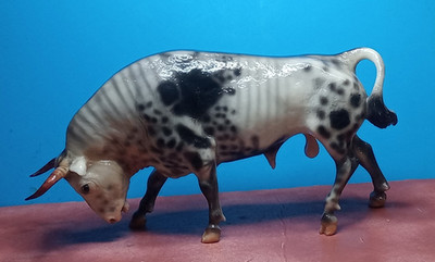 BREYER LE TAUREAU  Breyerfest 2015 SR gLOSSY Spanish Fighting Bull 800 made NR