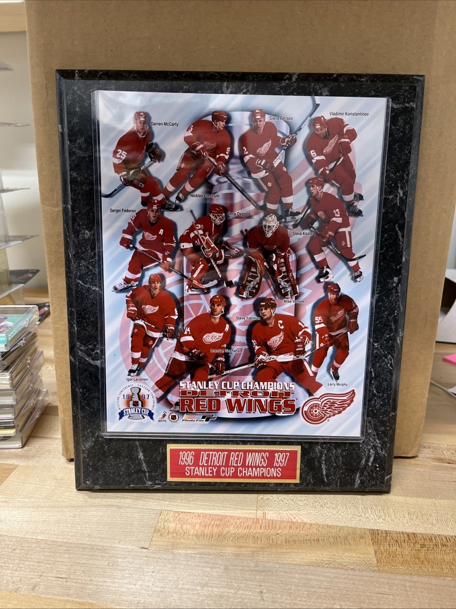 1996-97 Stanley Cup Champions Detroit Red Wings 13 X 11 Plaque