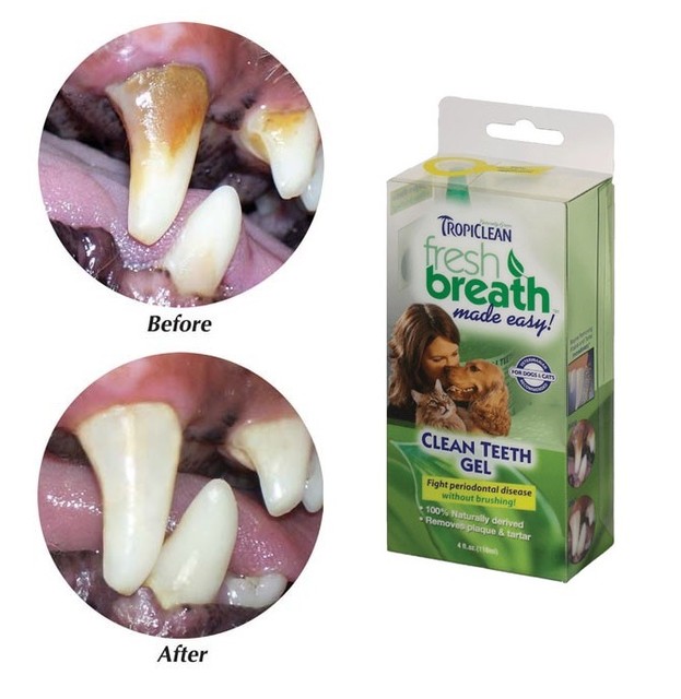 TropiClean Clean Teeth Gel For Dogs Promotes Strong Teeth & Healthy