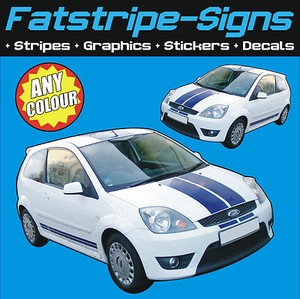 Ford fiesta st vinyls #5
