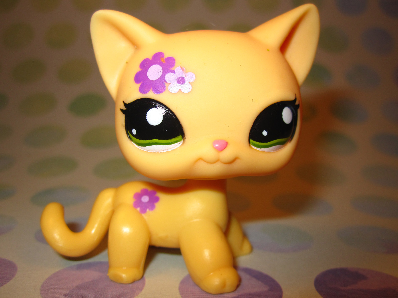 LPS кошки