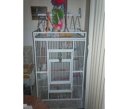 Large Bird Cage for Sale