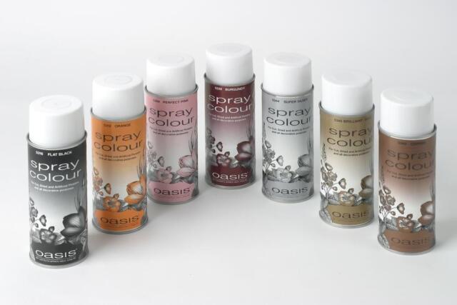 Oasis Floral Spray Paint Colour Chart