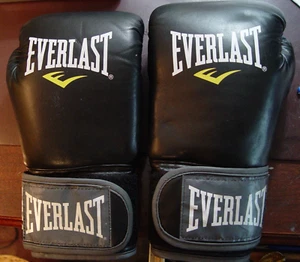 Everlast MMA 12 Ounce Sparring Boxing Gloves - Picture 1 of 1