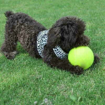 Giant Tennis Ball Pet Toy Dog Puppy Cat Chucker Thrower Toy Play • 9.08$