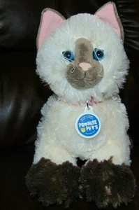 Peluche Gattino Marrone Himalayano 12" Costruisci Un Orso Promessa Animali Domestici - Foto 1 di 3