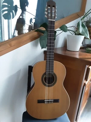 Guitare acoustique en bon état - Photo 1/4