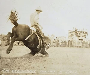 Rodeo Cowboy Hub Whiteman Taking a Spill 30er RPPC Panhandle Stampede Alliance NE - Bild 1 von 3