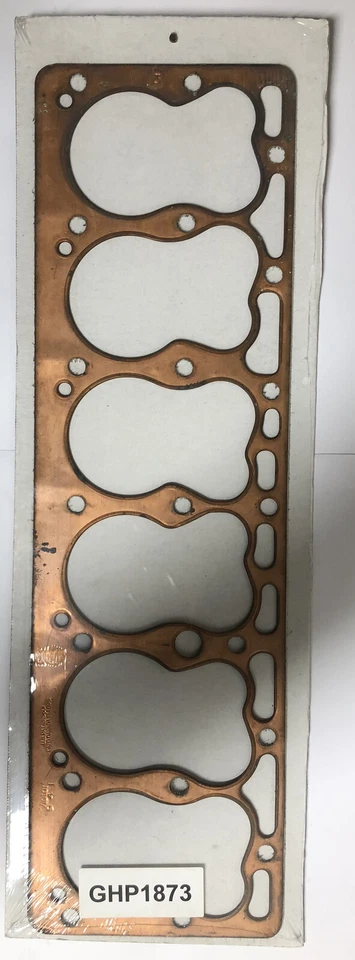 Junta de culata PARA Reo Flying Cloud Speed Wagon 6 cilindros corona de plata 1935-1938 Foto 1 de 1