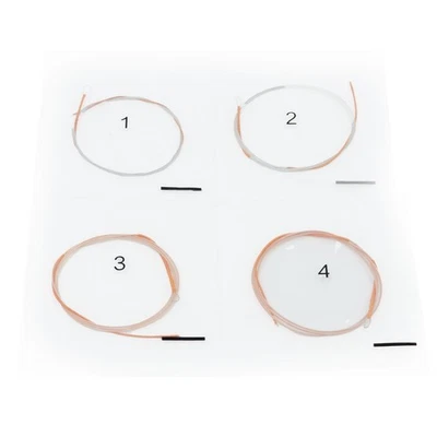4Pcs Yueqin Strings Nylon Winding Spare Parts Replacement Moon Lute Strings - Image 1 of 4