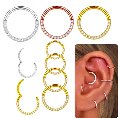 Piercing Titan Segment Ring Nasenpiercing Septum Clicker Ohrpiercing Nasenring - Bild 1 von 4