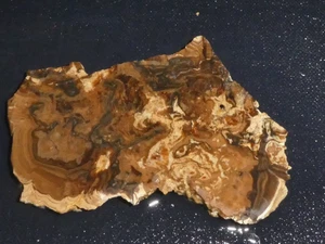 Stromatolite fossil slab- 3 5/8"  x  2 1/4 "---rough-cabbing-display,science - Picture 1 of 3