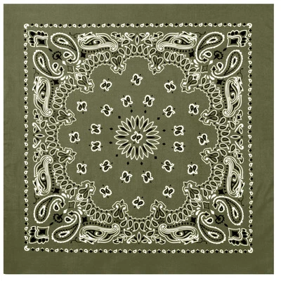 Rothco Trainmen Paisley Bandana Extra Grande Motociclista Bufandas Bandanas Cubierta Facial Foto 1 de 4