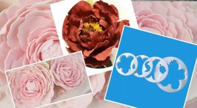 Juego de 4 cortador de peonía grande de flores de plástico para pasteles fondant azúcar herramienta artesanal Foto 1 de 3