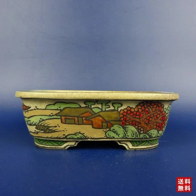 Bonsai Small Rectangular Pot 10cm Brand: Daisuke Artist: Daisuke Sano Bonsai Pot - Image 1 of 4