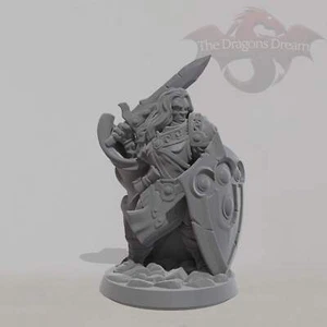 Paladino - Dungeons and Dragons, 5e, Pathfinder - Miniatura - Foto 1 di 5