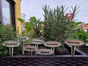 Señales de hierbas / muchas variedades / letrero de jardín cama especias romero tomillo - Imagen 1 de 1