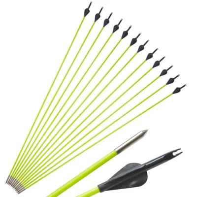 12pcs Fiberglass Arrows 30'' SP600 Archery Rubber Feathers Bow Shooting - Image 1 of 4