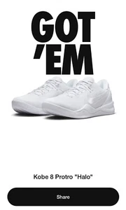Nike Kobe 8 Protro Halo - Para Hombre Talla 10.5 PEDIDO CONFIRMADO - Imagen 1 de 1