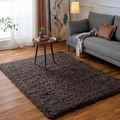 Long Fluffy Shaggy Rug Super Soft Non Slip Area Rug Living Room Bedroom Carpet - Image 1 of 4