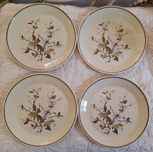 Juego de 4 Platos de Almuerzo Royal Doulton CEREZA SILVESTRE Hecho en Inglaterra Lambethware - Imagen 1 de 4