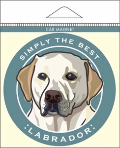 Yellow Labrador Car Magnet 4x4" - Picture 1 of 1