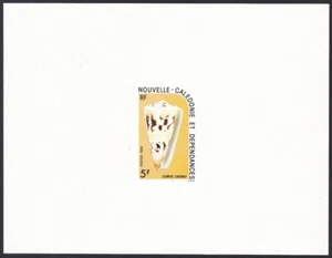 New Caledonia Sc495 Local Seashell, Sea Snail, Conus chenui, Deluxe Proof - Picture 1 of 1