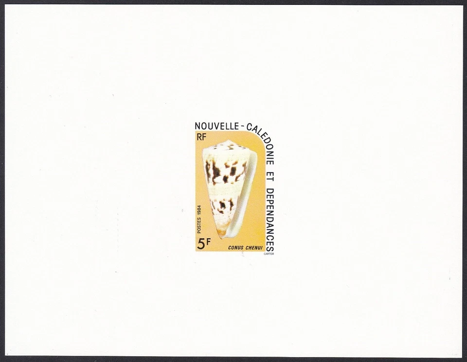New Caledonia Sc495 Local Seashell, Sea Snail, Conus chenui, Deluxe Proof - Image 1 of 1