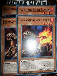 YU-GI-OH! COM SALAMANGRANDE LOUPIE PLAYSET (LOT DE 4) SAST-FR003 NEUF ED1 FRENCH - Picture 1 of 1
