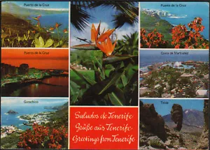 POSTAL SALUDOS DE TENERIFE ISLAS CANARIAS POSTCARD POSTKARTE CC02042 - Picture 1 of 1