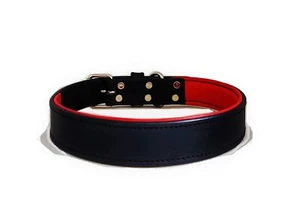 STG Genuine Leather Premium Padded Black Dog Collar Large 21"-25" Pack Of 10 - Picture 1 of 8