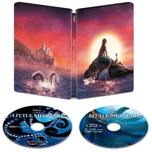 Disney Princess Collection Picture Book Type Disc Case - Imagen 1 de 3