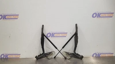 JUEGO DE 20 BISAGRAS CAPÓ DODGE RAM 2500 PAR GRIS Foto 1 de 4