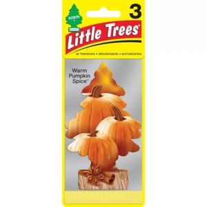 Little Trees Autumn Collection - Warm Pumpkin Spice & Crisp Autumn Air - 3 Pack - Picture 1 of 4