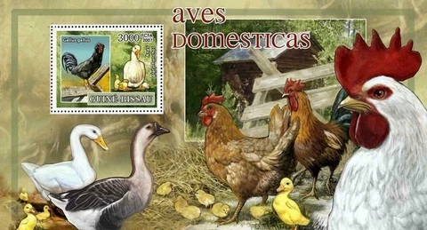 Bird Stamp Domestic Scout Scouting Hen Chicken Duck S/S MNH #3598 / Bl.595 Cover