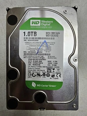 Western Digital Caviar Green 1.0TB 8MB SATA Internal Desktop Hard Drive WD10EAVS - Image 1 of 3