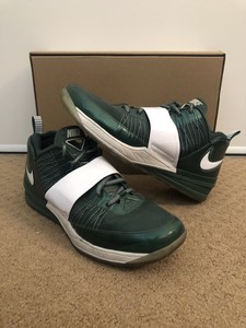 nike zoom revis