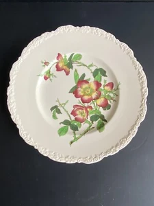 Royal Cauldon 11 in Dinner Plate Scalloped Hand Painted Wild Roses - Picture 1 of 6