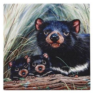 Australia Souvenir Fauna Animal Tasmanian Devils Ceramic Kitchen Trivet Gift Box - Picture 1 of 6