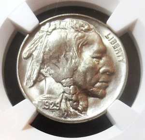 1929 Buffalo Nickel NGC MS-66 (CAC Green) (Toned) - Picture 1 of 4