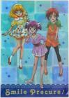 Sunstar Bungu Smile Pretty Cure (Glitter Force)! Kirakira Clear File B. Norm...