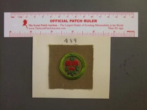 Distintivo Merito Quadrato Cultura Frutta Boy Scout 7850Z - Foto 1 di 1