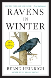 Bernd Heinrich Ravens in Winter (Paperback)