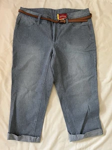 Faded Glory Capri Pinstriped Pants NWT Size 12 - Picture 1 of 4
