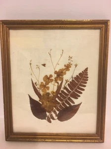 "Arte tradicional de pared de hojas secas 10,75""x12,75" - Imagen 1 de 1