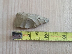 2 Inch Paleo Unknown Region - Picture 1 of 6