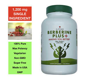 Berberine Plus 1200mg, Max Potency, Single Ingredient, Highest Quality 120 caps
